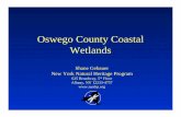 Oswego County Coastal Wetlands - Government of New York
