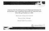 Inquiry into the Adequacy and Appropriateness of ...