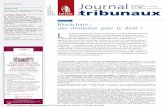 Journal - Des théories du Droit à la pratique juridique