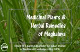 Medicinal Plants Herbal Remedies of ... - Zizira Explorers