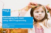 Automating SAS AMO using VBA Programming