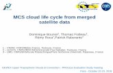 MCS cloud life cycle from merged satellite data