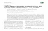 Case Report Cervical Spondylotic Myelopathy Secondary to ...
