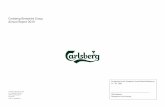 Carlsberg Breweries Group Annual Report 2019