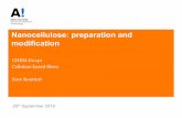 Nanocellulose: preparation and modification