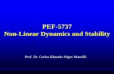 PEF-5737 Non Linear Dynamics and Stability