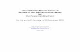 Consolidated Annual Report