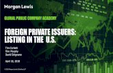 FOREIGN PRIVATE ISSUERS: LISTING IN THE U.S.