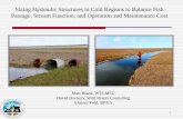 Sizing Hydraulic Structures in Cold Regions to Balance ...