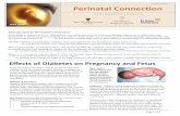 Volume I: Issue 1 Perinatal Connection