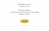 Background paper for Draft Policy TE Punjab 0