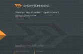 Security Auditing Report