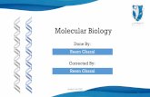 Nucleotides and nucleic acids - Students Club 2020