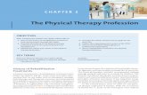 NOT FOR SALE OR DISTRIBUTION The Physical Therapy Profession