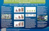 Effects of Tradescantia zebrina extracts on Artemia