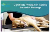Certificate Program in Canine Remedial Massage