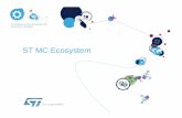 ST MC Ecosystem - Pepite