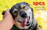 2019 Annual Report web - SPCA Cincinnati