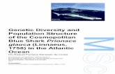 Genetic diversity and population structure of the ...
