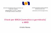 Il test per BRCA (somatico o germinale) e HRD