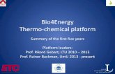 Bio4Energy Thermo-chemical platform