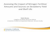 Assessing the Impact of Nitrogen Fertilizer Amounts and ...