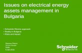 Issues on electrical energy assets management in Bulgaria