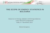 THE SCOPE OF ENERGY STATISTICS IN BULGARIA