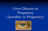 Liver Disease in Pregnency