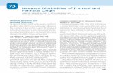 73 - Neonatal Morbidities of Prenatal and Perinatal Origin