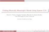 Finding Musically Meaningful Words Using Sparse CCA