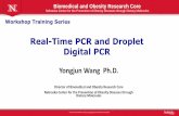 Real-Time PCR and Droplet Digital PCR