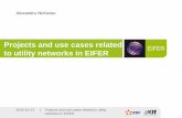 Projects and use cases related to utility networks in EIFER