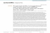 Projected shifts in loggerhead sea turtle thermal habitat ...