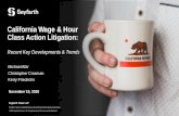 California Wage & Hour Class Action Litigation