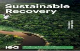 Sustainable Recovery - World energy Outlook Special Report