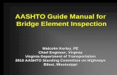 Bridge Element Inspection Manual - Transportation