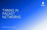 Timing in Packet Networks