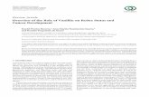 Review Article Overview of the Role of Vanillin on Redox ...