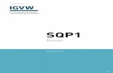 SQP1 - Die IGVW - IGVW