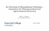 2019 Strategic Intervention in Biosynthesis ... - Imperial
