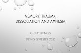 Memory, Trauma, Dissociation and Amnesia