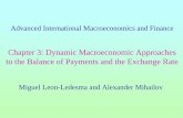Chapter 3: Dynamic Macroeconomic Approaches to the Balance ...