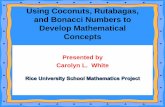 Using Coconuts, Rutabegas and Bonacci Numbers to Develop ...