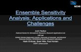 Ensemble Sensitivity Analysis: Applications and Challenges