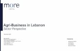 Agri-Business in Lebanon - More Capital