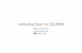 introduction to slurm - Read-Only