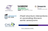 Fluid structure interactions in ascending thoracic aortic ...
