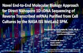 Novel End-to-End Molecular Biology Approach for Direct ...