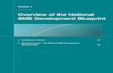 Overview of the National SME Development Blueprint